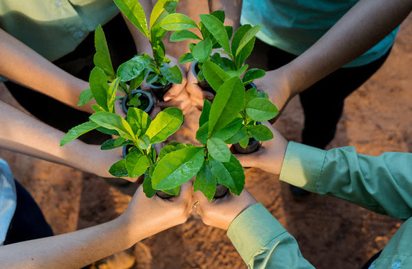 Six people standing in a circle, each holding a small potted plant with vibrant green leaves, symbolizing unity and environmental collaboration.