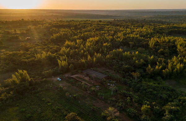 Aerial view of a rural landscape at golden hour, showing a mix of dense forest and cultivated land with a small building and a white vehicle nestled among trees.