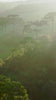 Brand video for Yerba Madre, introducing the company’s renewed identity and mission. The video features lush natural landscapes, close-up shots of yerba mate leaves, and vibrant moments of community and culture. Narration highlights the brand’s commitment to regenerative agriculture, indigenous partnerships, and environmental stewardship, while visuals show people harvesting, sharing drinks, and celebrating in outdoor settings.